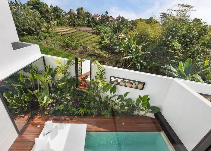Alex Complex N5 * Canggu